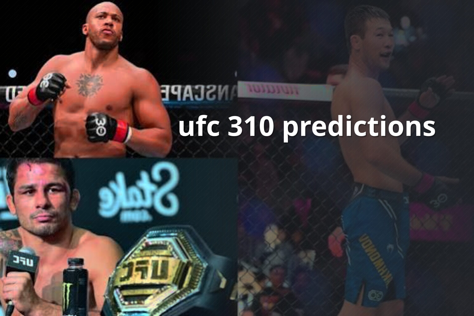 ufc 310 predictions - sportsbook