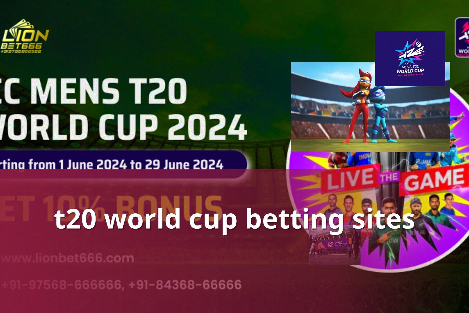 t20 world cup betting sites - cricket betting