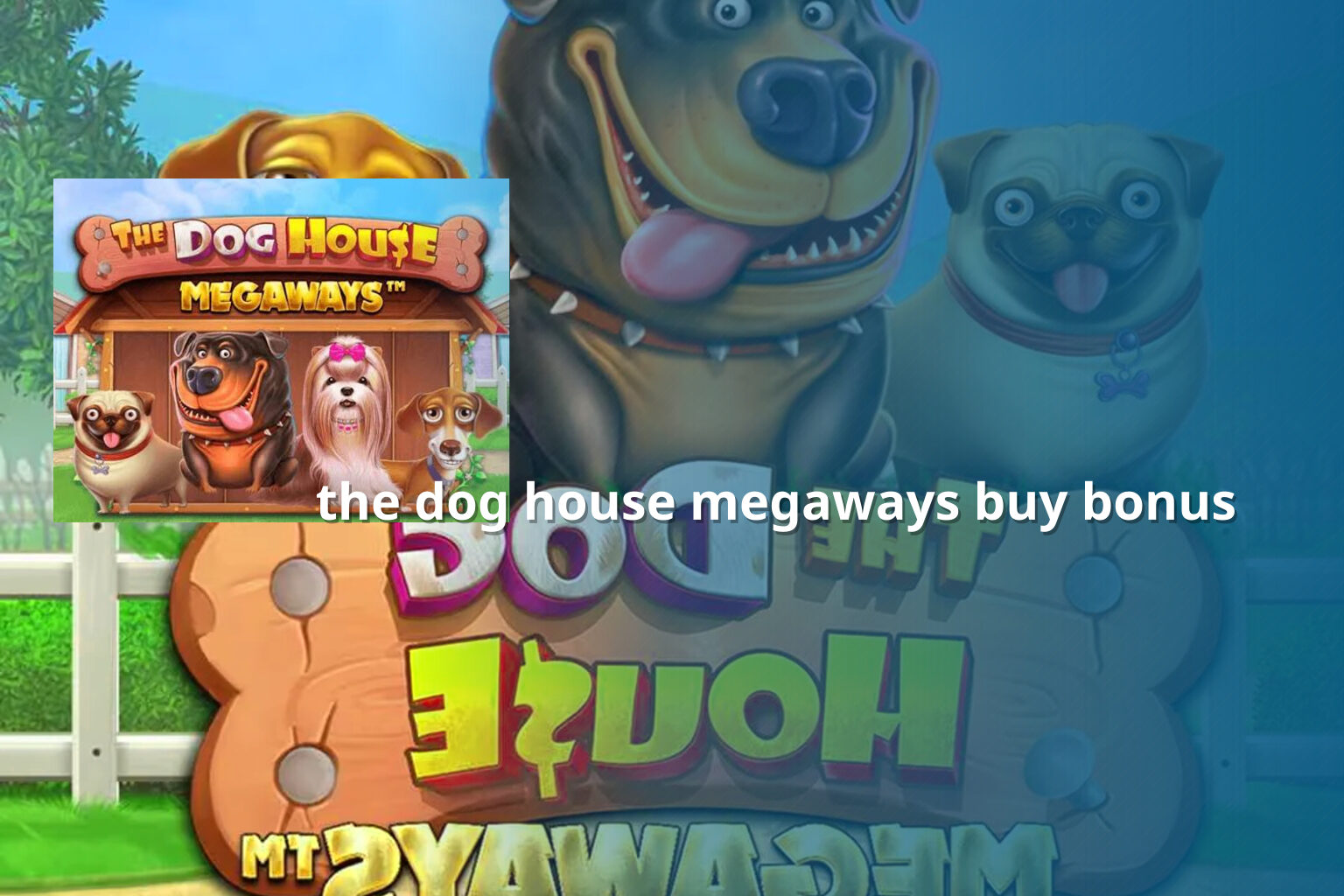 the dog house megaways buy bonus - slots