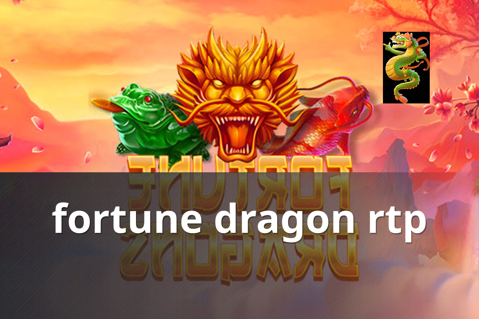 fortune dragon rtp - slots