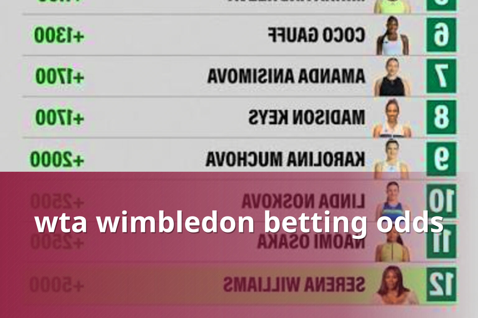 wta wimbledon betting odds - sportsbook