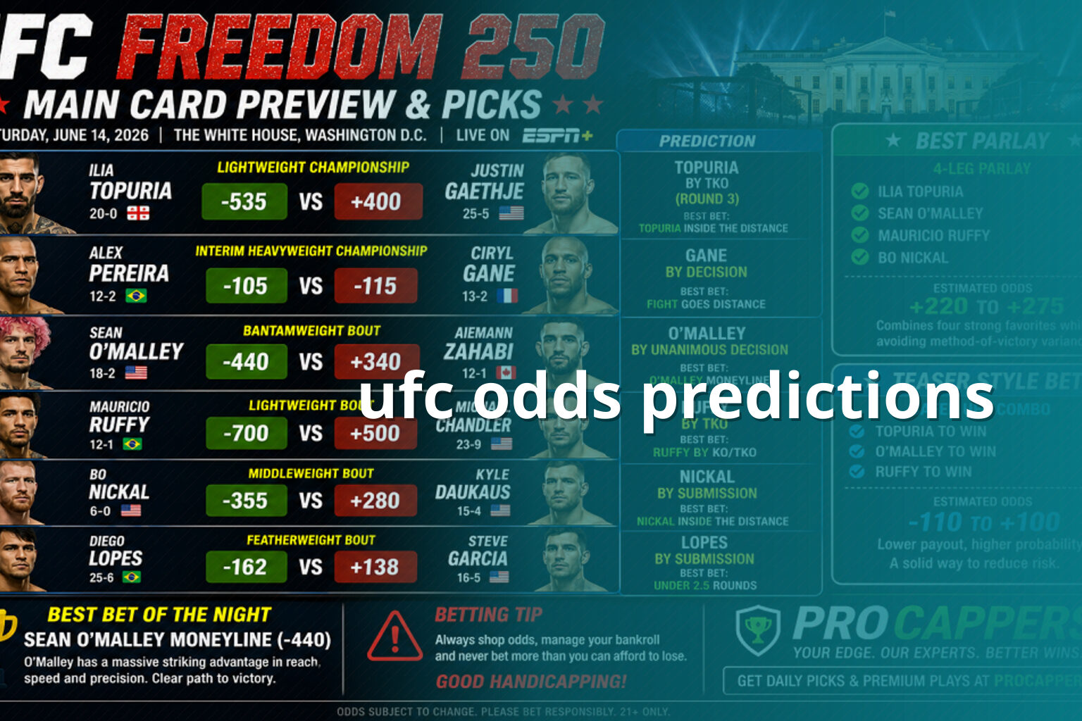 ufc odds predictions - sportsbook