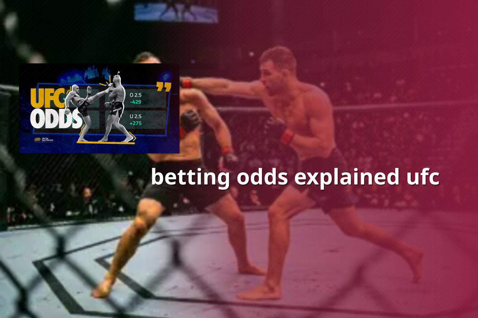 betting odds explained ufc - การพนัน