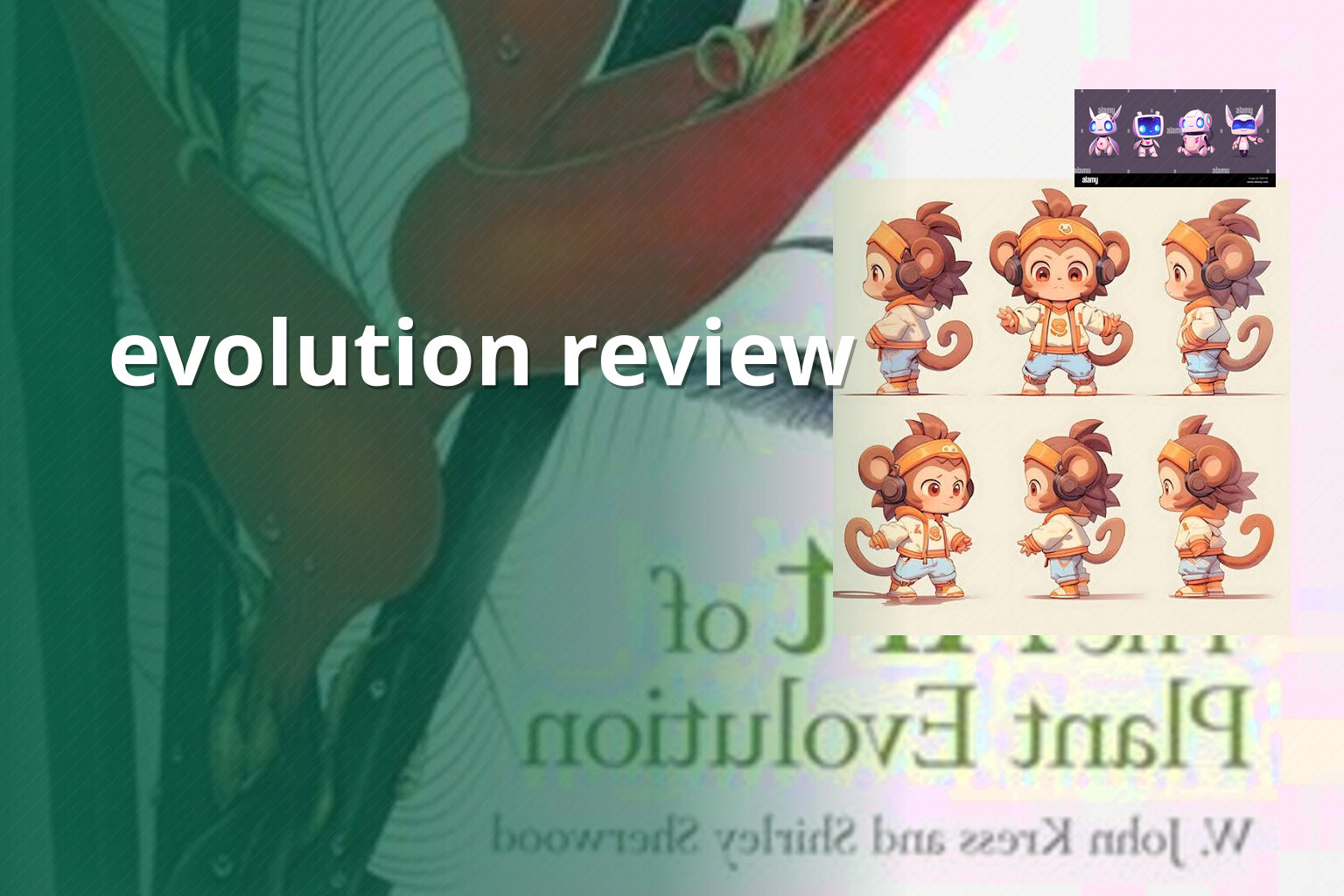 evolution review - gaming_brand