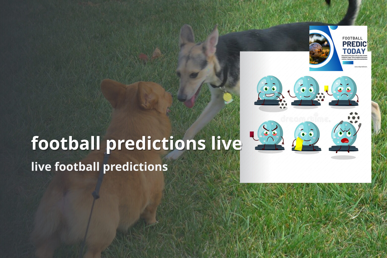 football predictions live - sportsbook