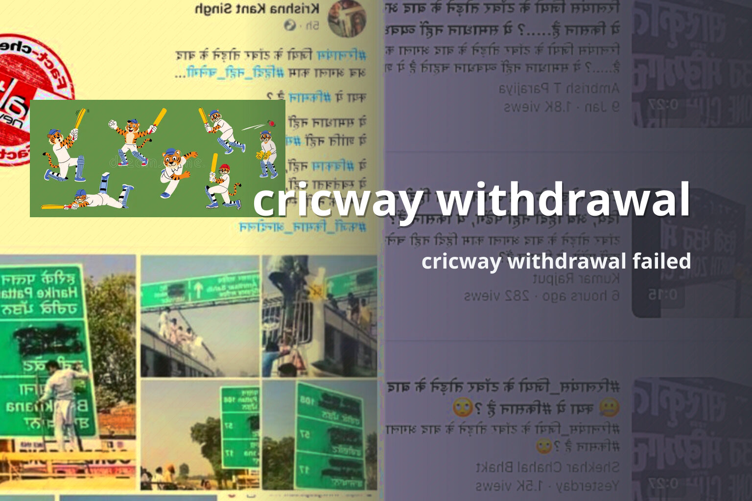 cricway withdrawal - gaming_brand
