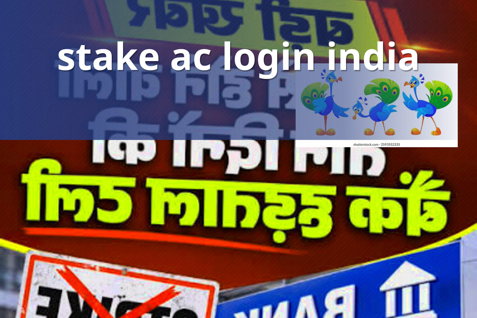 stake ac login india - gaming_brand
