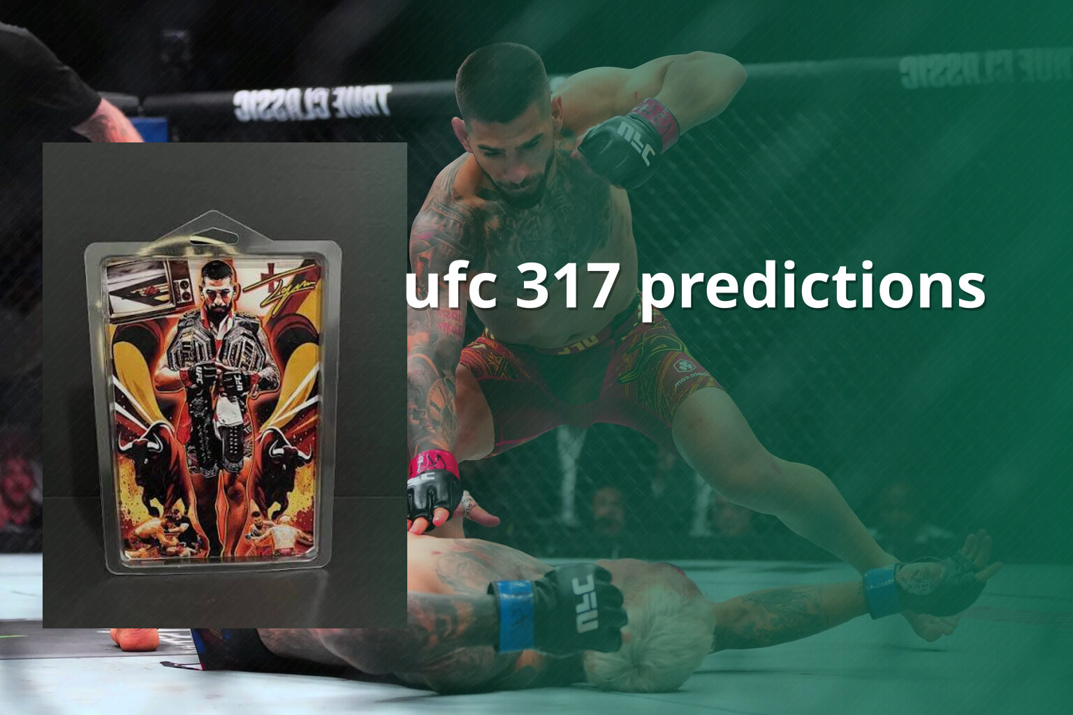 ufc 317 predictions - sportsbook