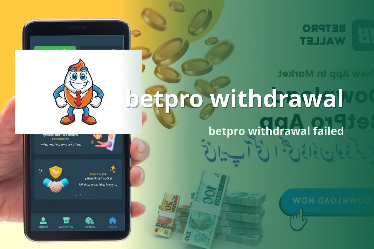 betpro withdrawal betpro withdrawal failed