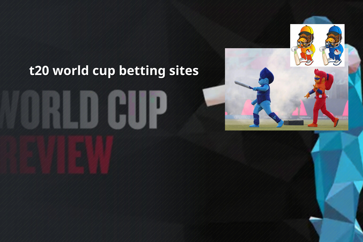 t20 world cup betting sites - cricket betting