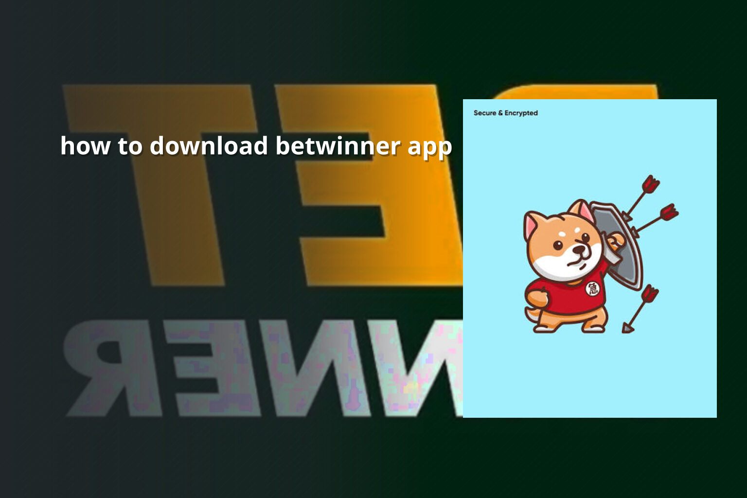 how to download betwinner app - gaming_brand