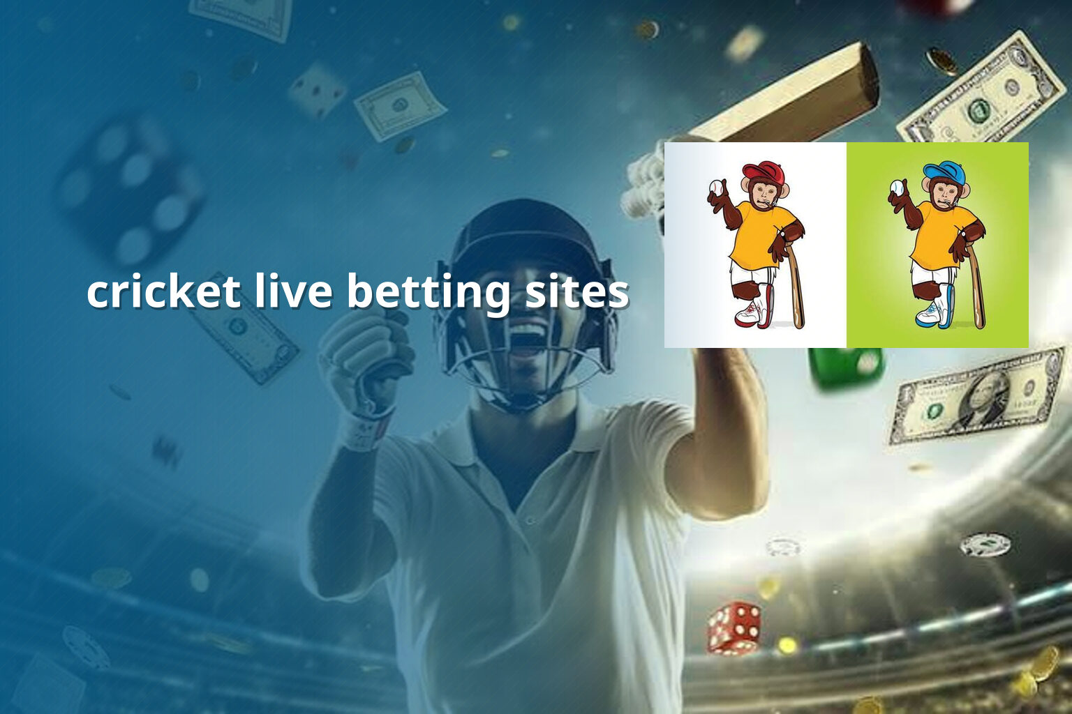 cricket live betting sites - การพนัน