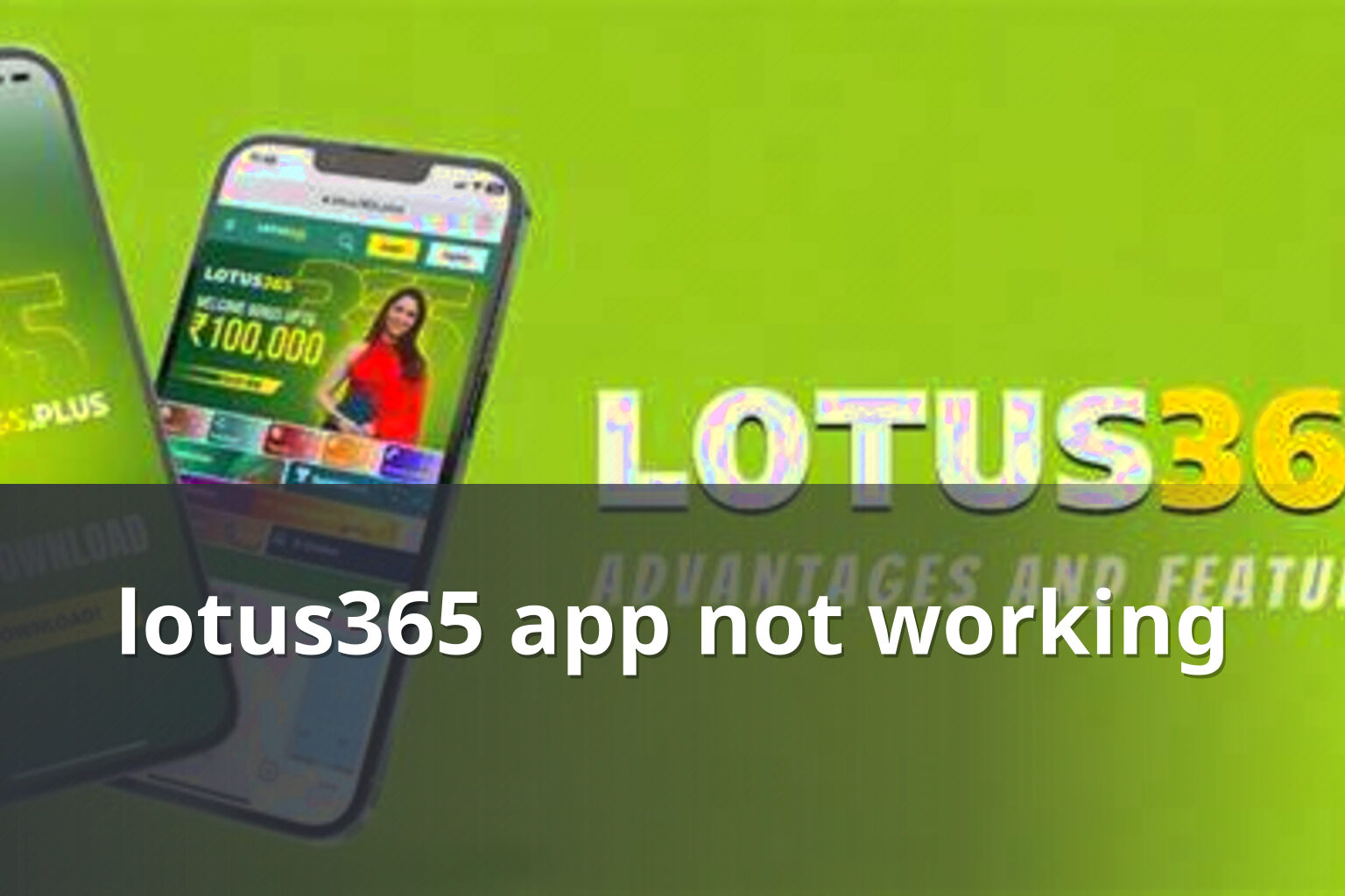 lotus365 app not working - gaming_brand