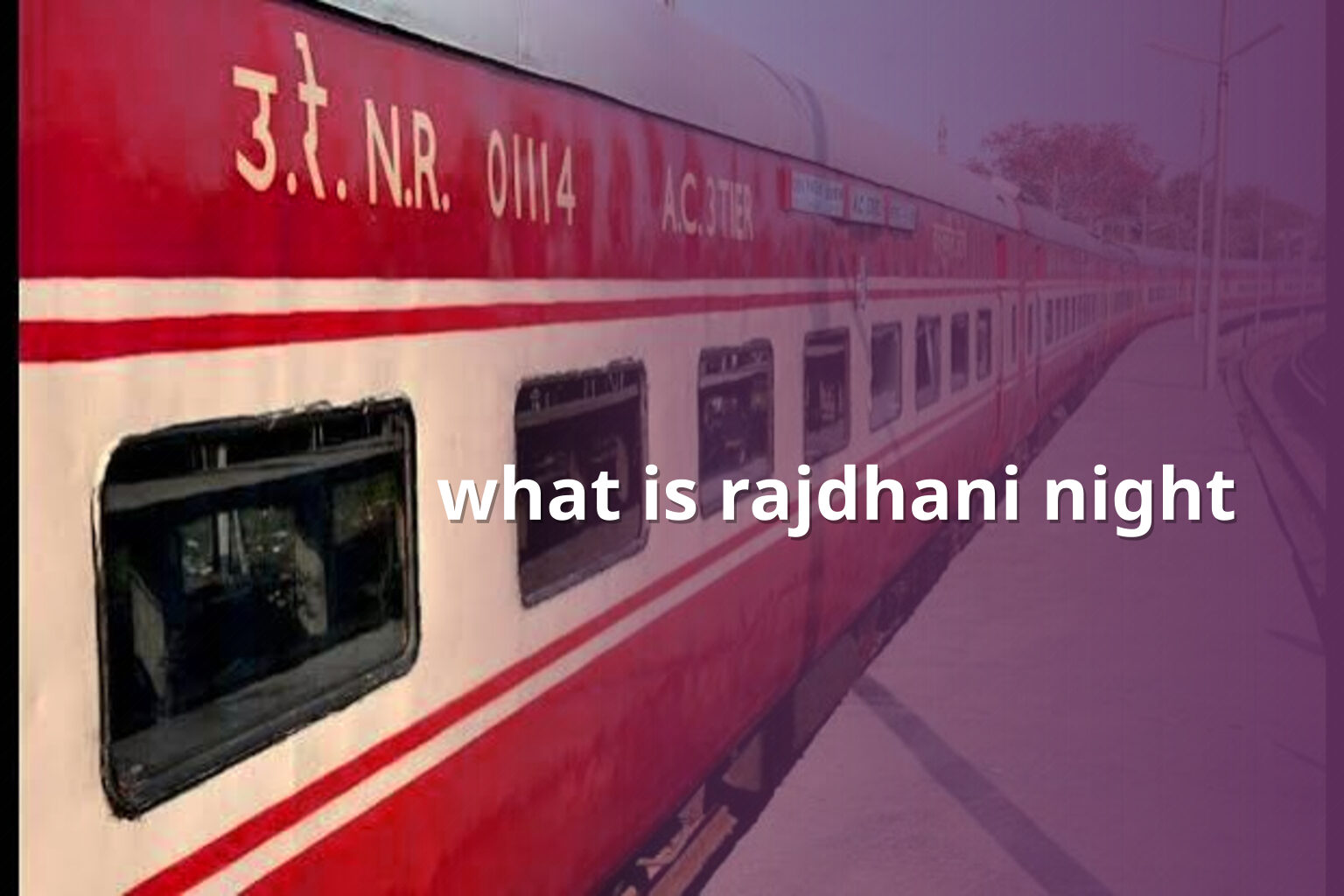 what is rajdhani night - online_gaming