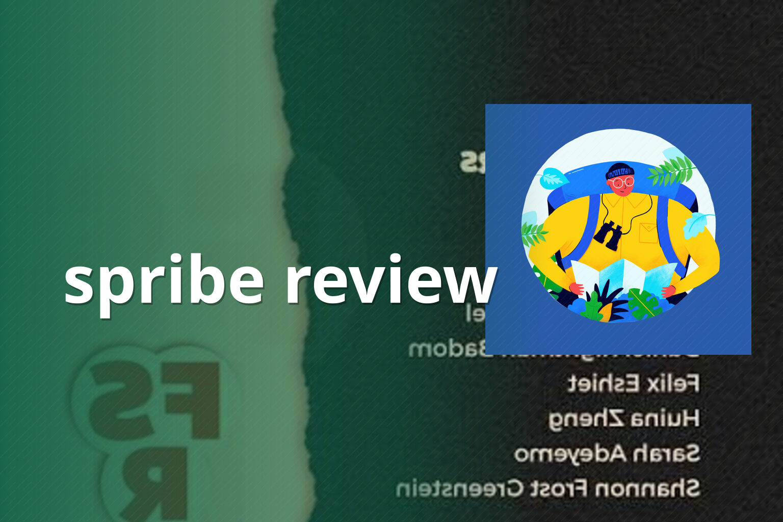 spribe review - gaming_brand