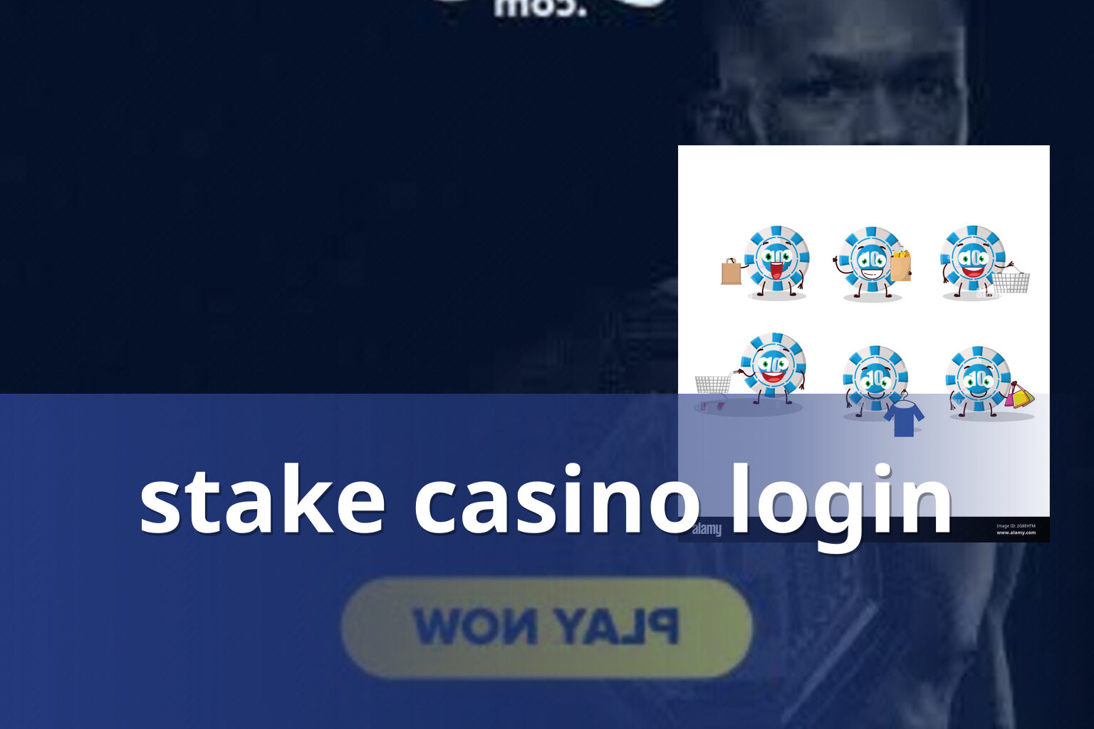 stake casino login - gaming_brand
