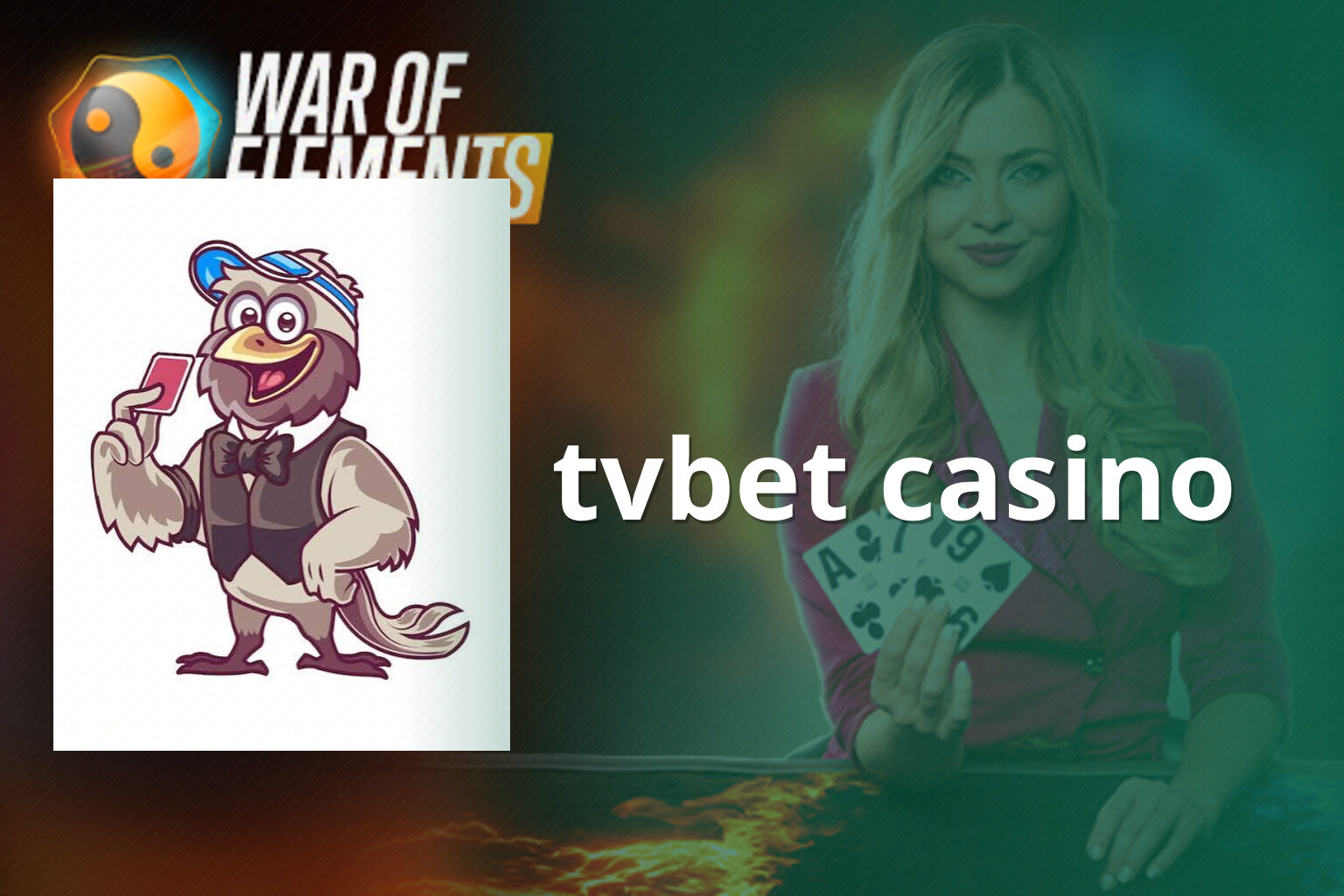 tvbet casino - casino