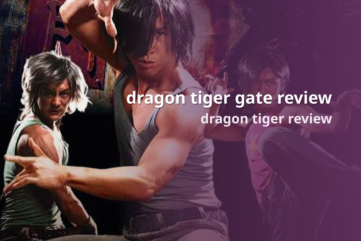 dragon tiger gate review dragon tiger review