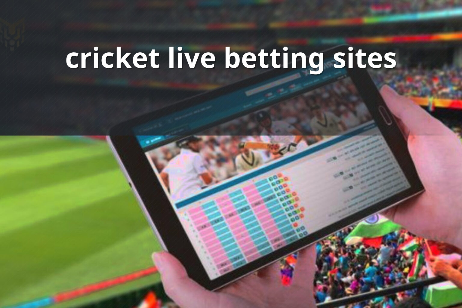 cricket live betting sites - การพนัน