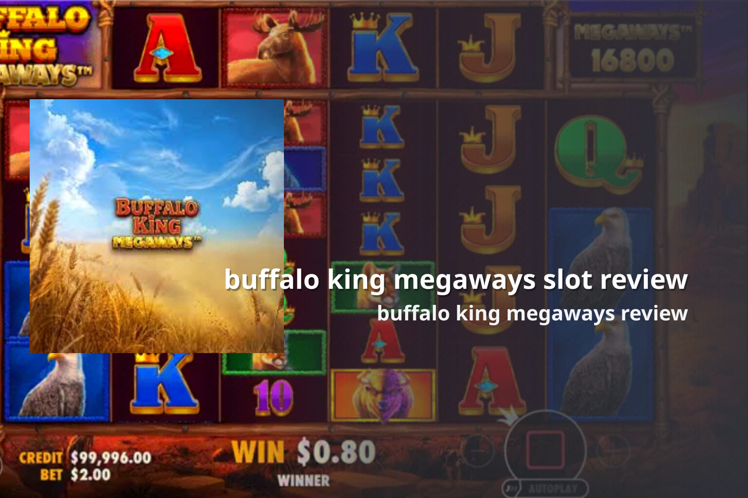 buffalo king megaways slot review - slots