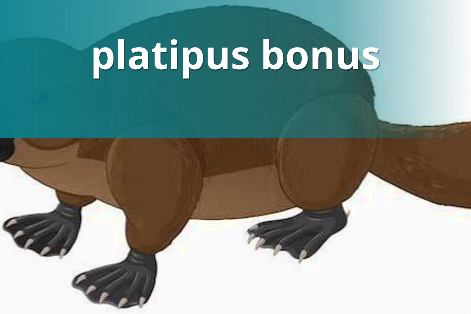 platipus bonus - gaming_brand