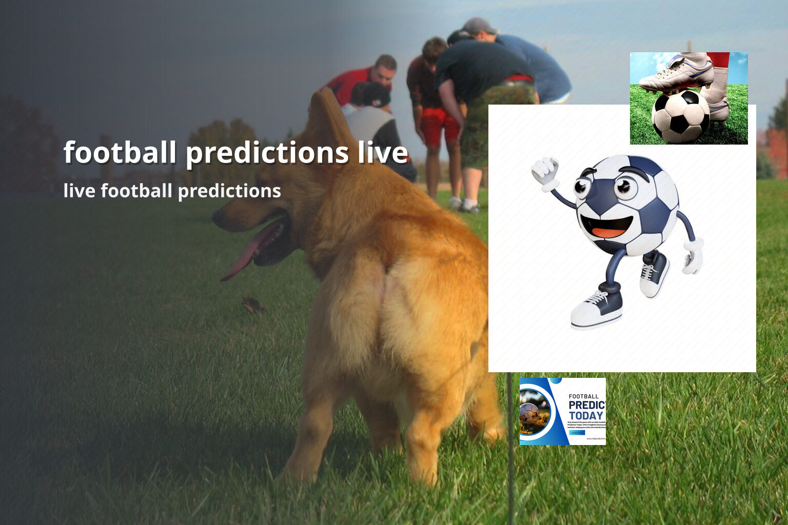 football predictions live live football predictions