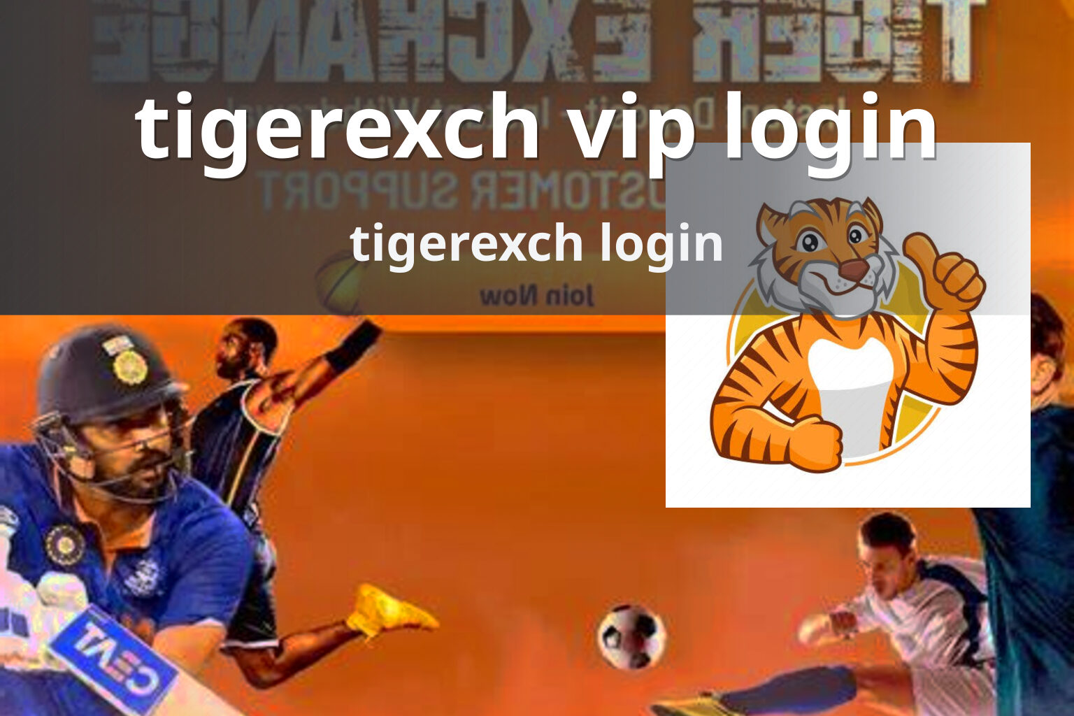 tigerexch vip login tigerexch login