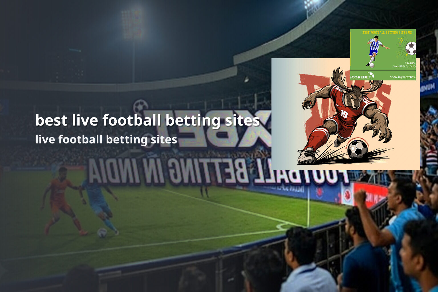 best live football betting sites live football betting sites
