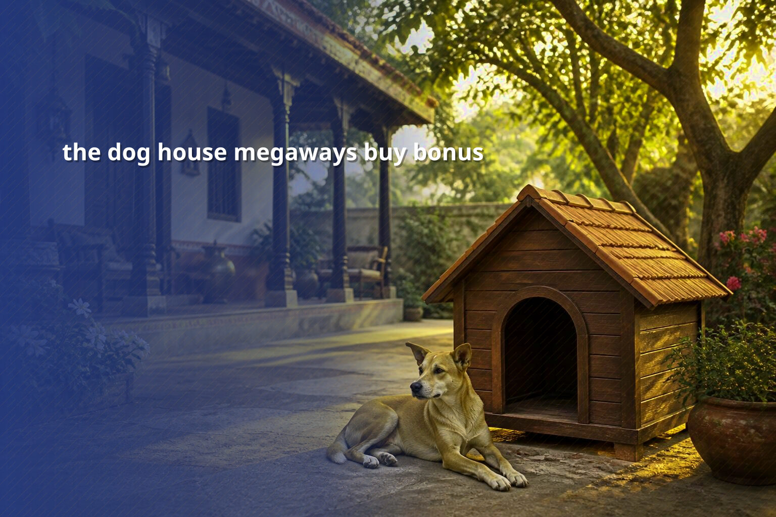 the dog house megaways buy bonus - slots