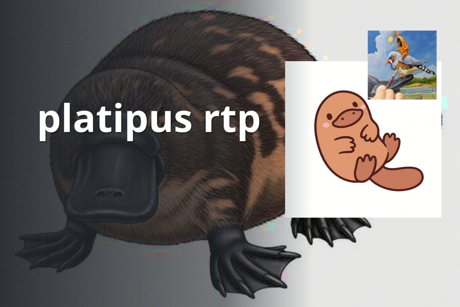 platipus rtp - gaming_brand