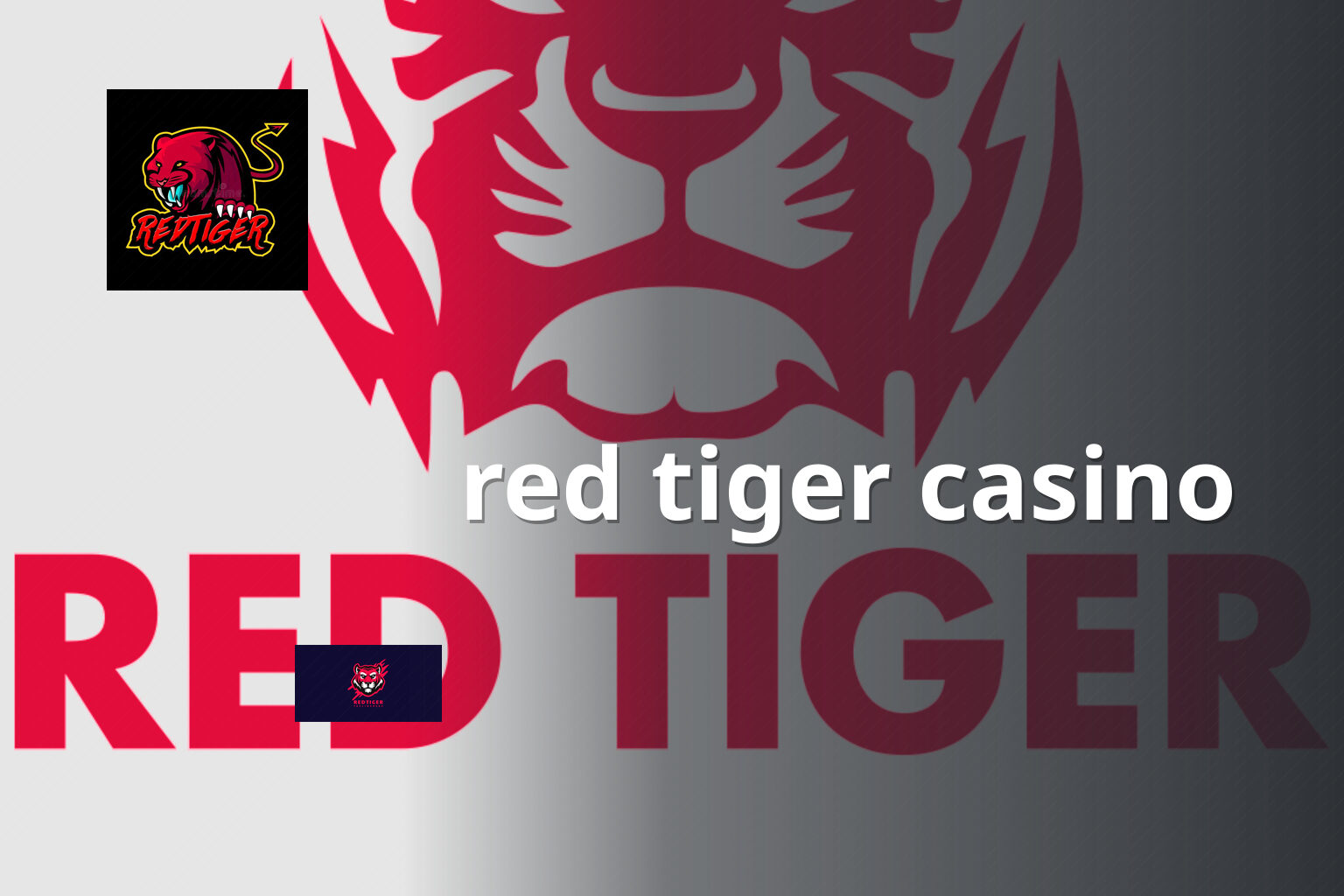 red tiger casino - casino