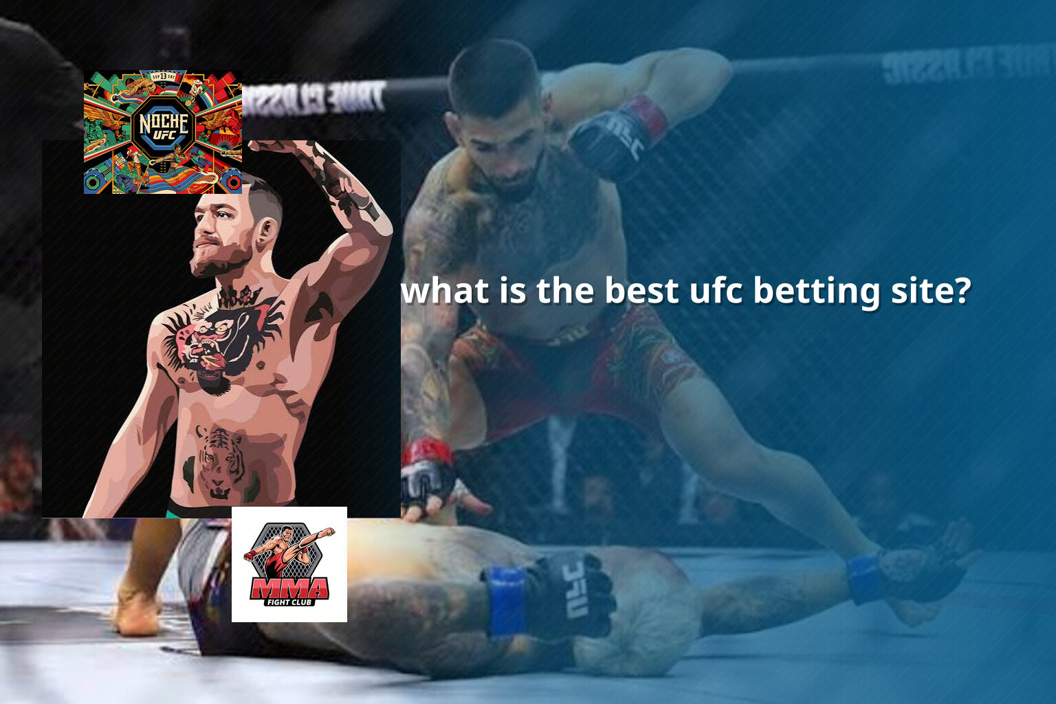 what is the best ufc betting site? - การพนัน