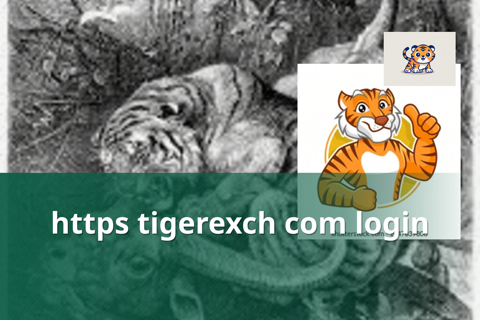 https tigerexch com login - gaming_brand
