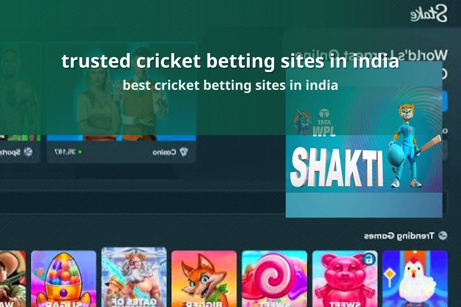 trusted cricket betting sites in india - การพนัน