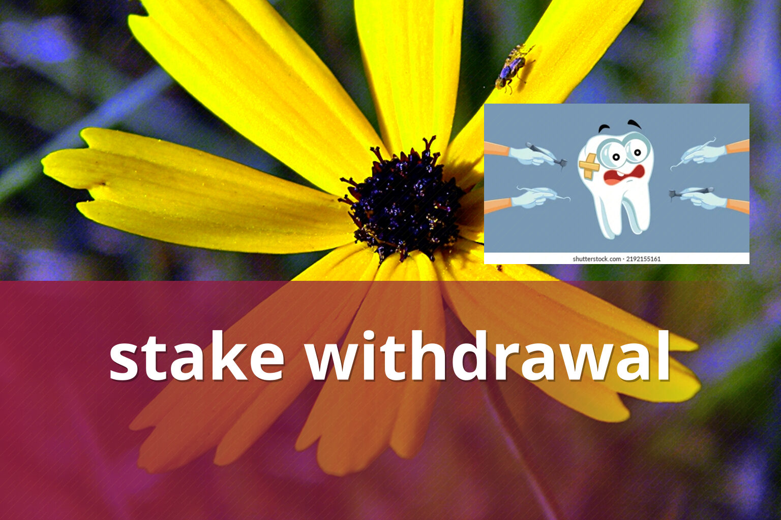 stake withdrawal - gaming_brand