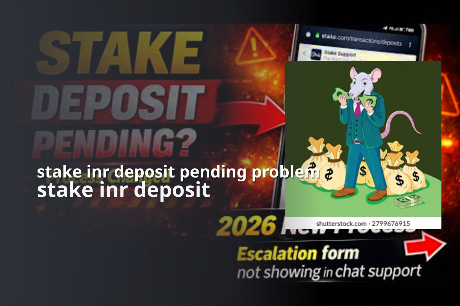 stake inr deposit pending problem stake inr deposit