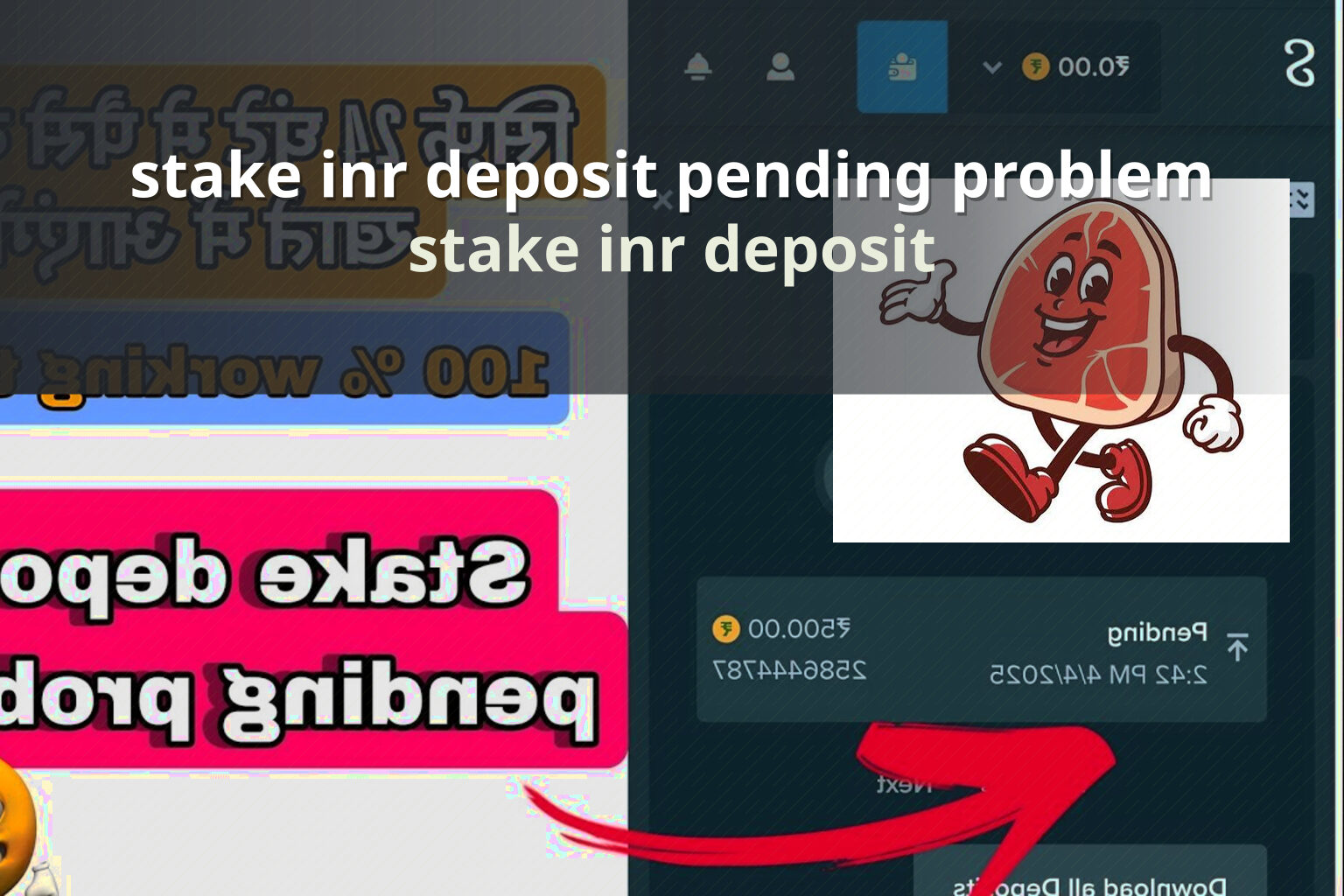 stake inr deposit pending problem - online gaming transaction support