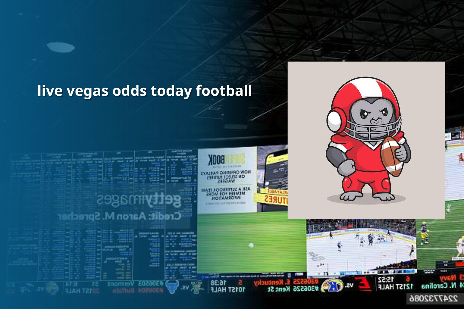 live vegas odds today football - sportsbook