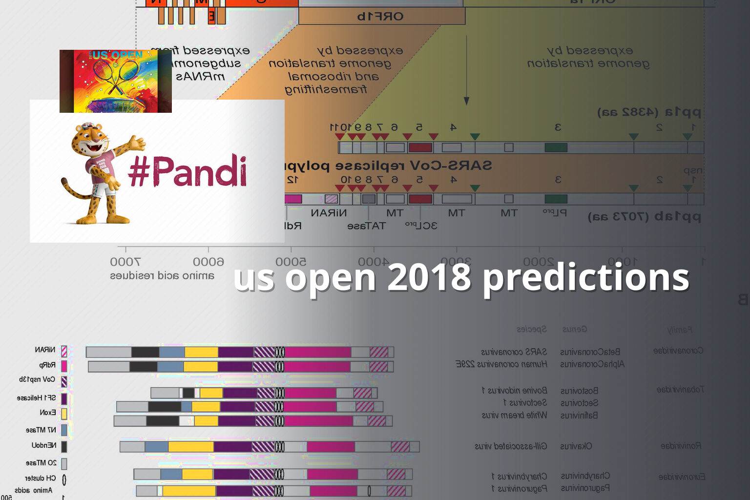 us open 2018 predictions - sportsbook