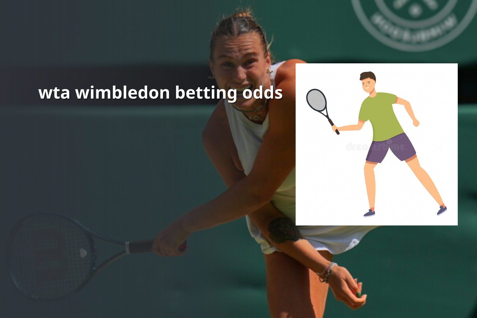 wta wimbledon betting odds - sportsbook
