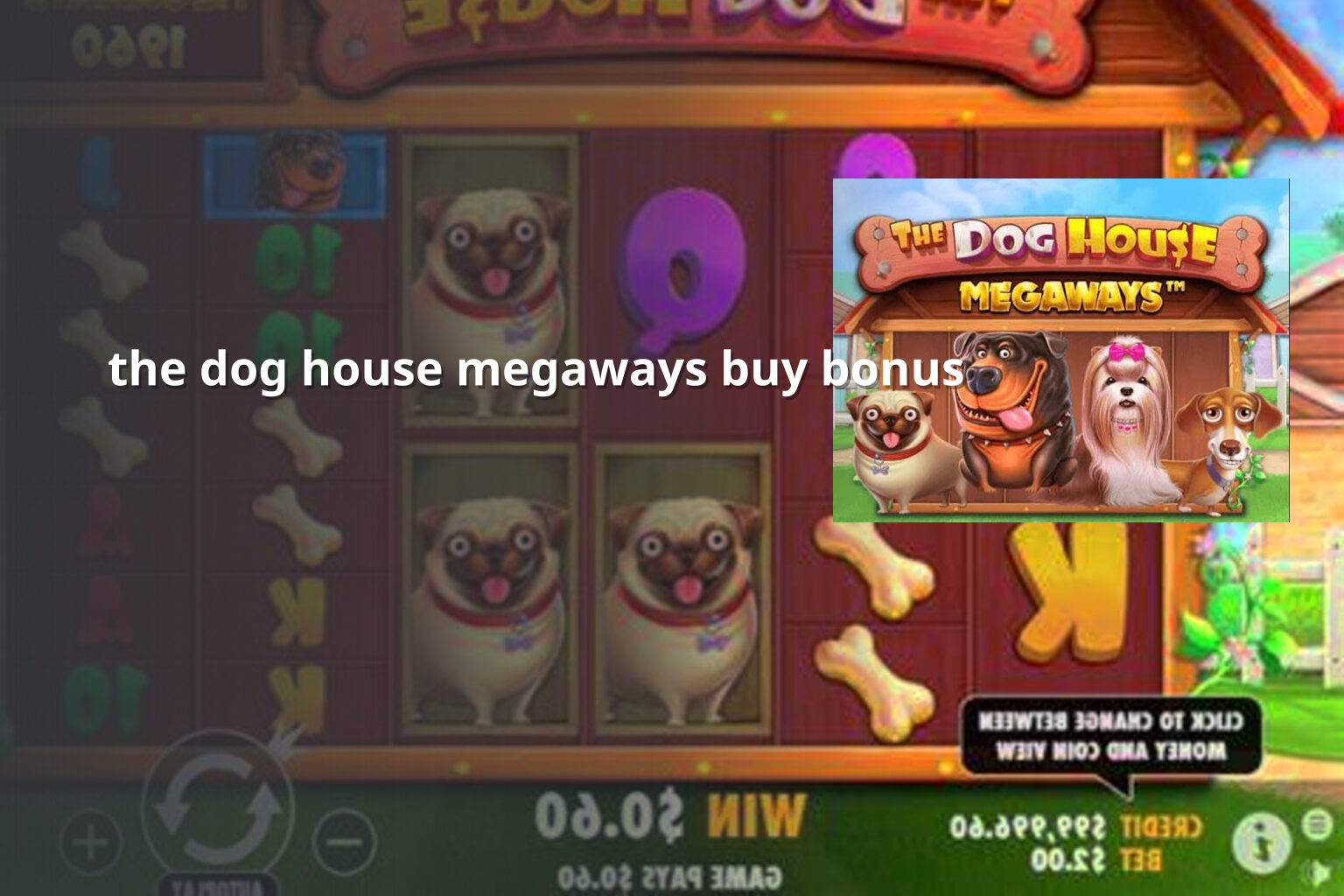 the dog house megaways buy bonus - slots