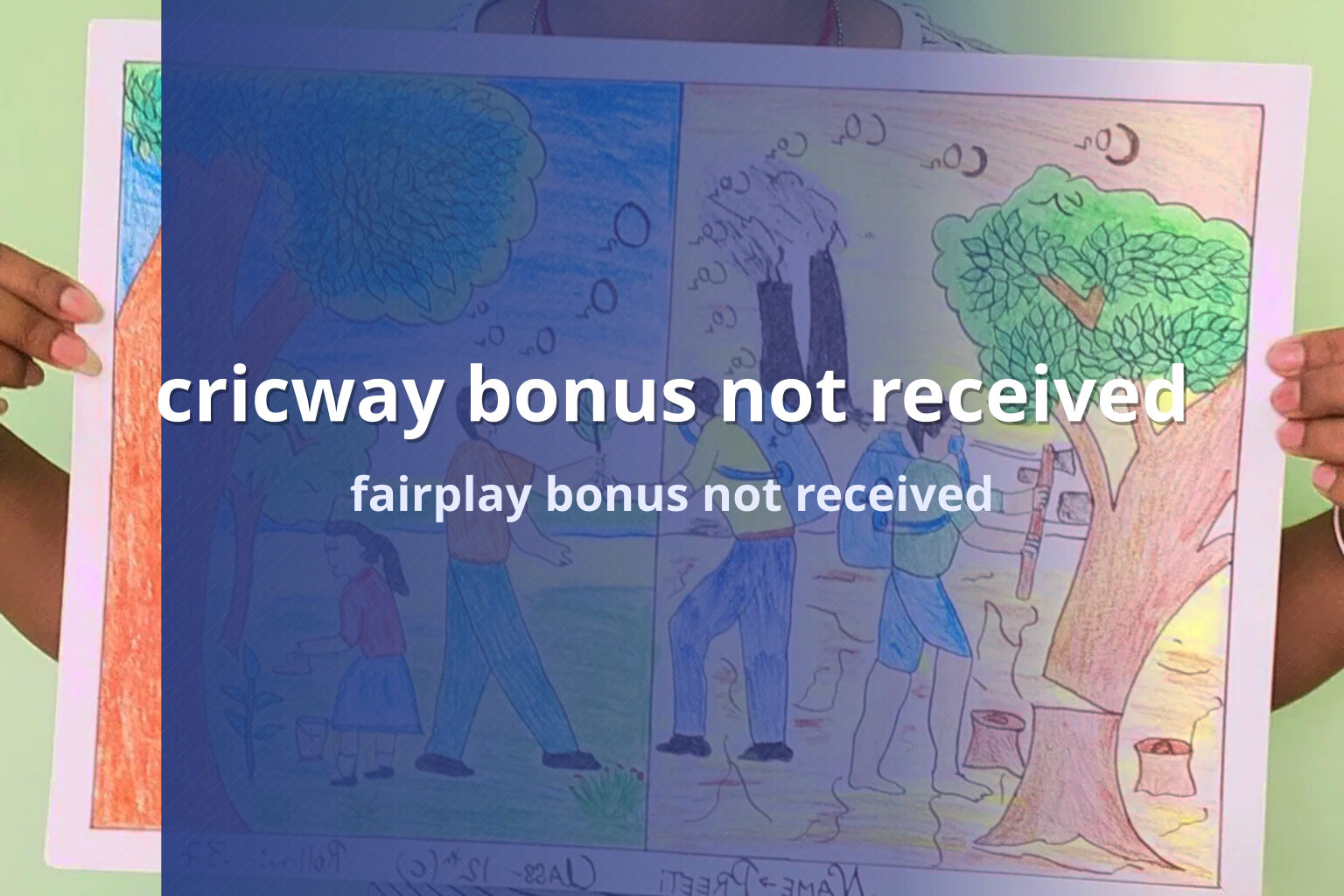 cricway bonus not received fairplay bonus not received