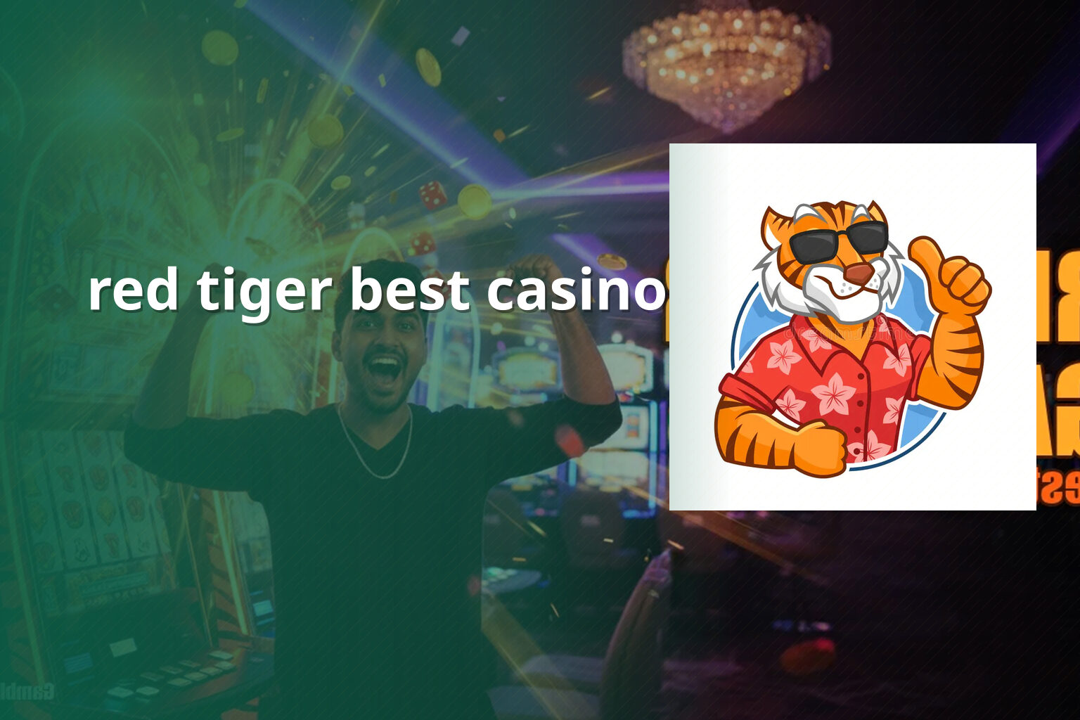 red tiger best casino - casino
